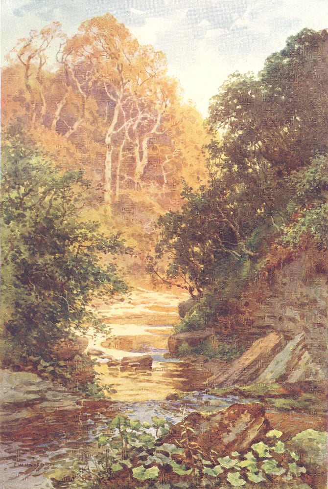 Hayburn Wyke, Scarborough. Yorkshire. By Ernest Haslehust 1920 old print